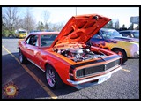 IMG_0029