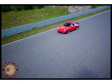IMG_0031