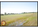 IMG_0417