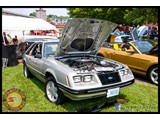 IMG_0367