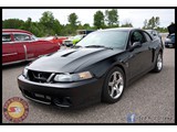 IMG_0053