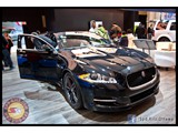 IMG_0273