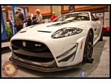 IMG_0352