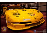 IMG_0397