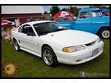 IMG_0195