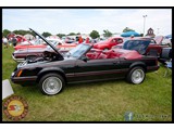 IMG_0206