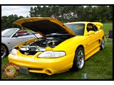 IMG_0014