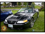 IMG_0027