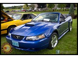 IMG_0029