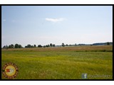 IMG_0139