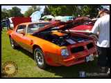 IMG_0246