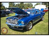 IMG_0262