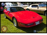 IMG_0350
