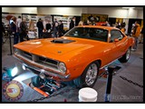 IMG_0031