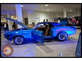 IMG_0059