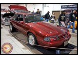 IMG_0419