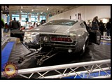 IMG_0526
