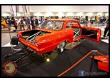 IMG_0527