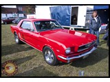 IMG_0009
