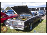 IMG_0041