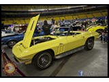 IMG_0256