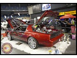 IMG_0316
