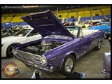 IMG_0435