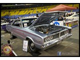 IMG_0439