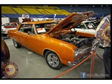 IMG_0509
