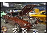 IMG_0556