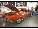 IMG_0557