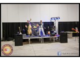 IMG_0175