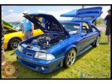 IMG_0178