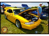 IMG_0179
