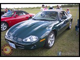 IMG_0145
