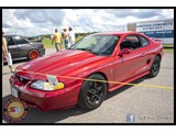 IMG_0254