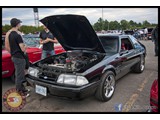 IMG_0031