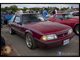 IMG_0038