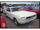 IMG_0040