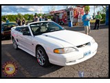 IMG_0086