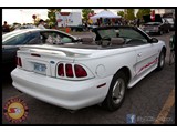 IMG_0145