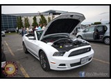 IMG_0045