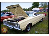 IMG_0041