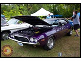 IMG_0041
