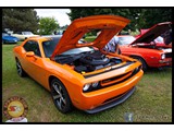IMG_0081