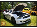 IMG_0115