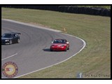 IMG_0355