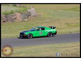 IMG_0341