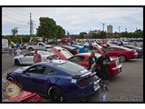 IMG_0352